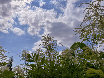 Similar image 22073998