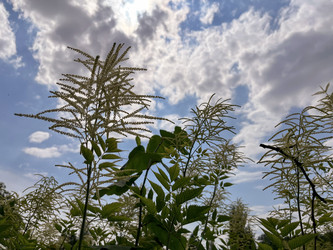 Similar image 22073999