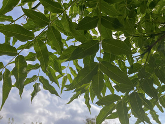 Similar image 22074000