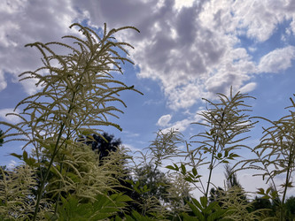 Similar image 22074001