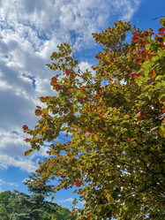 Similar image 22074004