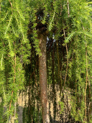 Similar image 22070070