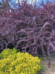 Similar image 22070088