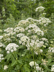 Similar image 22070089