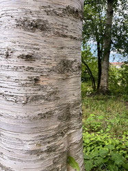 Similar image 22070109