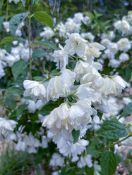 Similar image 22070110