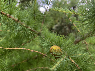 Similar image 22070111