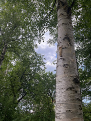 Similar image 22070112