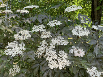 Similar image 22070113