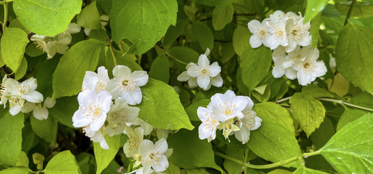 Similar image 22070114