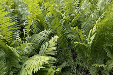 Similar image 22070115