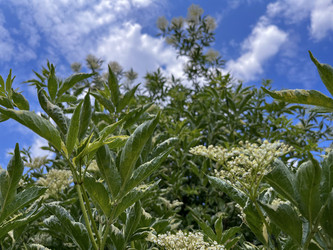 Similar image 22070117