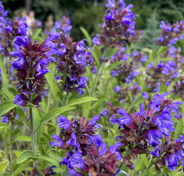 Similar image 22070118