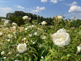 Similar image 22070164