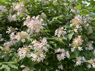 Similar image 22070165