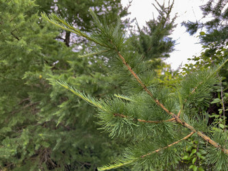 Similar image 22070186