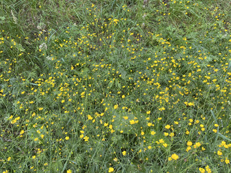 Similar image 22070206