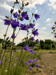 Similar image 22070207