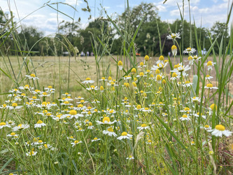 Similar image 22070208