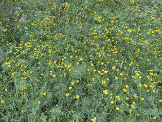 Similar image 22070209