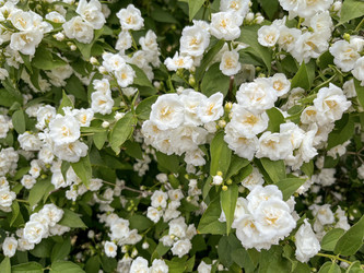 Similar image 22070210