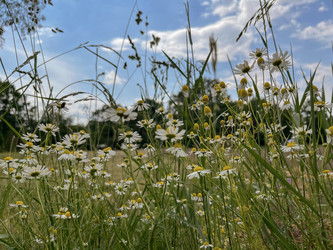 Similar image 22070245