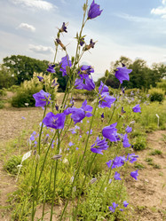 Similar image 22070266