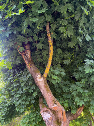 Similar image 22070284