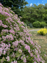 Similar image 22070285