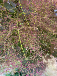 Similar image 22070304