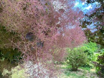 Similar image 22070306