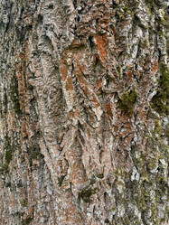 Similar image 22071238