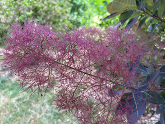 Similar image 22071239