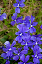 Similar image 22077279