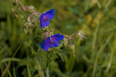 Similar image 22077282