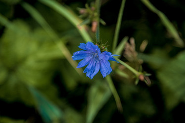 Similar image 22077286