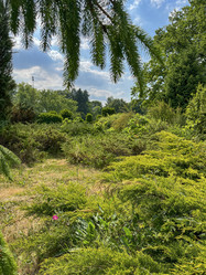 Similar image 22073835