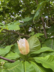 Similar image 22073836