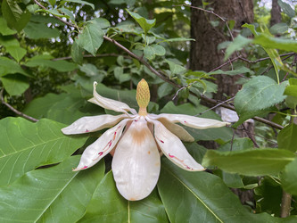 Similar image 22073838