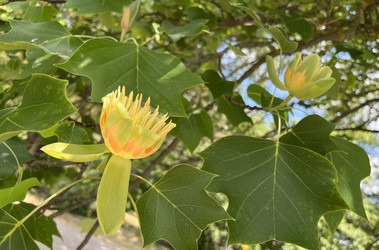 Similar image 22073839