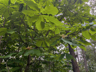 Similar image 22073840