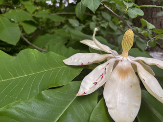 Similar image 22074005