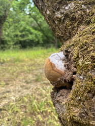 Similar image 22074007