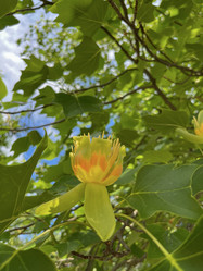 Similar image 22074008