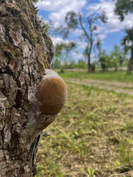 Similar image 22074009