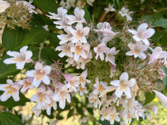 Similar image 22074010