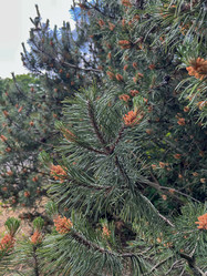 Similar image 22074011