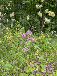 Similar image 22074012