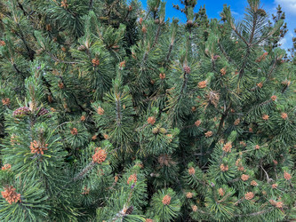 Similar image 22074015