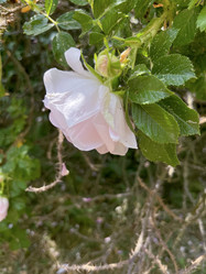 Similar image 22074019